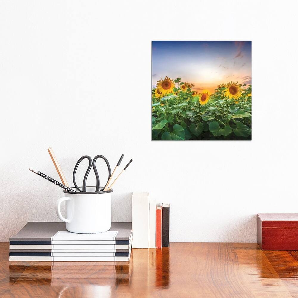 iCanvas "Sunflowers - Lovely Evening Mood" by Melanie Viola Canvas Print