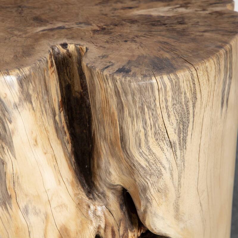 Crosscut Section Habitat Wooden Accent Stool - 20" - Beige