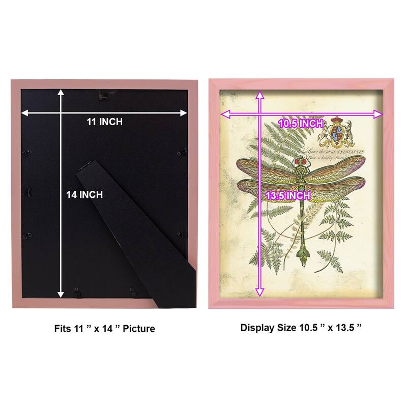 Regal Dragonfly III (PP) -Framed Print w/glass-Cherry Red