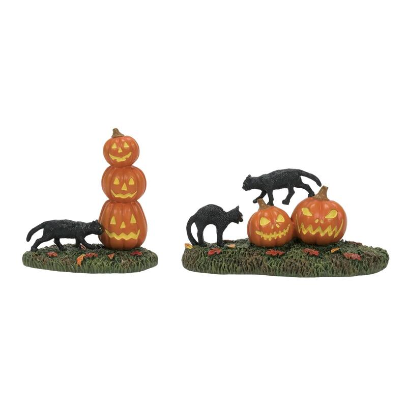 Department 56 Village Halloween Scary Cats Pumpkins Set of 2 #6012285