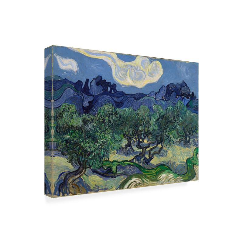 Vincent Van Gogh 'The Olive Trees' Canvas Art