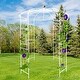 preview thumbnail 2 of 4, Birdcage Shape Garden Arch, 81.3'' x 114.2'' Pergola Plant Climbing Trellis Arbor for Wedding Outdoor, Climbing Vines, Roses