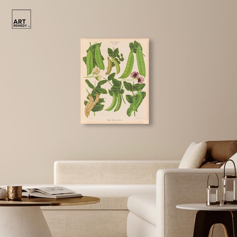 Podded Peas from Benary 1876 Canvas by Art Remedy, Gallery Wrapped
