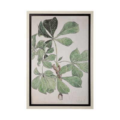 Techning Lamnar Framed Art Print