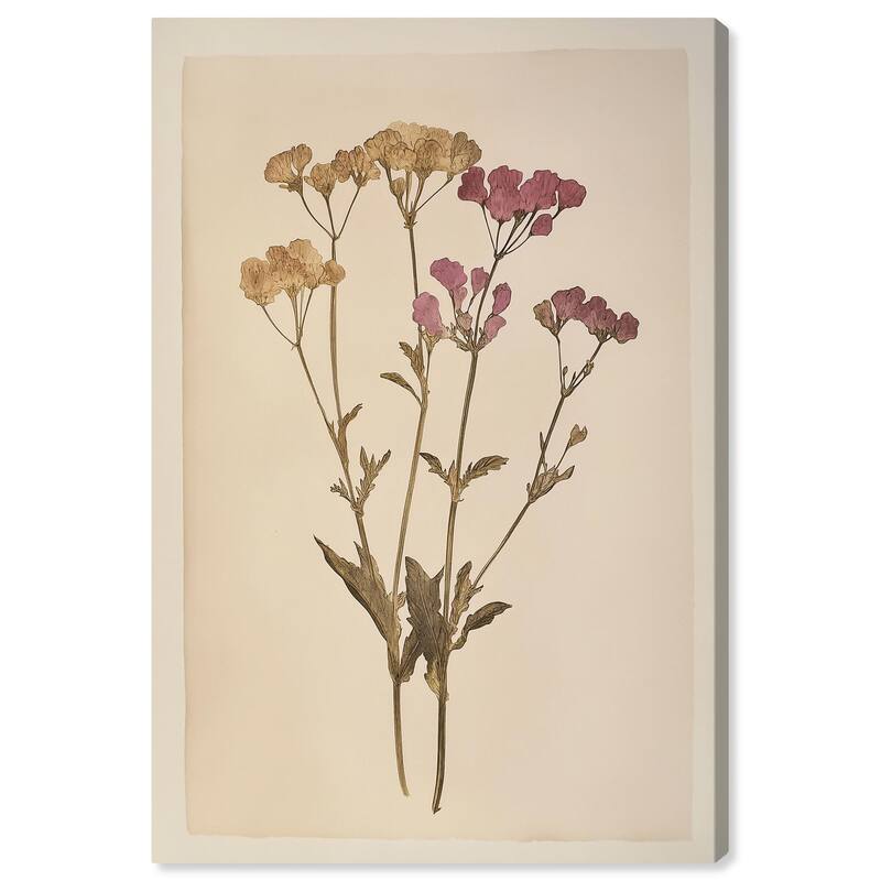 Dried Flower Canvas by Art Remedy, Gallery Wrapped - 24" x 36"