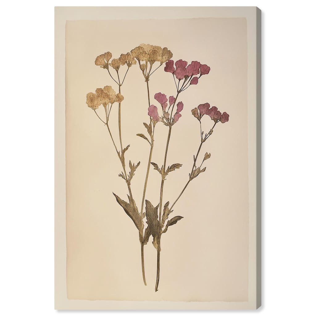 Dried Flower Canvas by Art Remedy, Gallery Wrapped