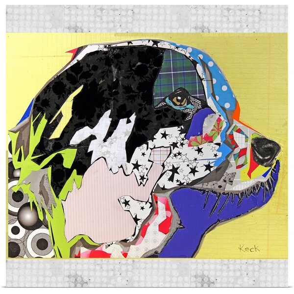 "Border Collie" Poster Print
