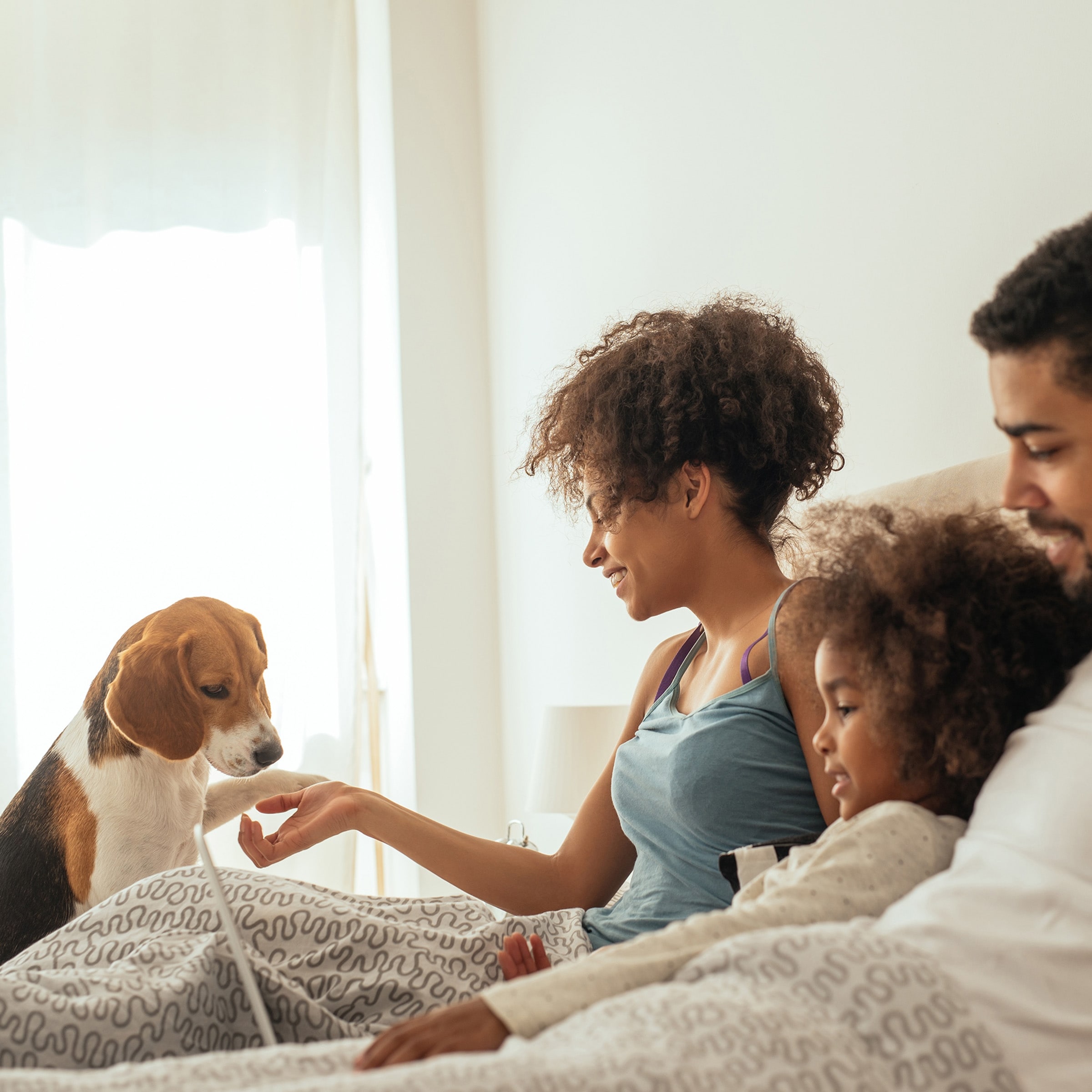 Up and under doggy steps bed bath and beyond online