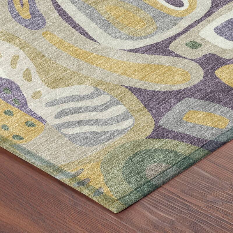 Machine Washable Indoor/ Outdoor Modern Picasy Chantille Rug
