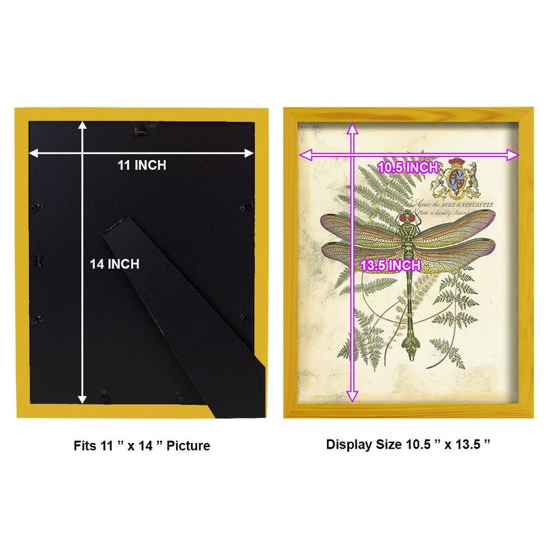 Regal Dragonfly III (PP) -Framed Print w/glass-Cherry Red