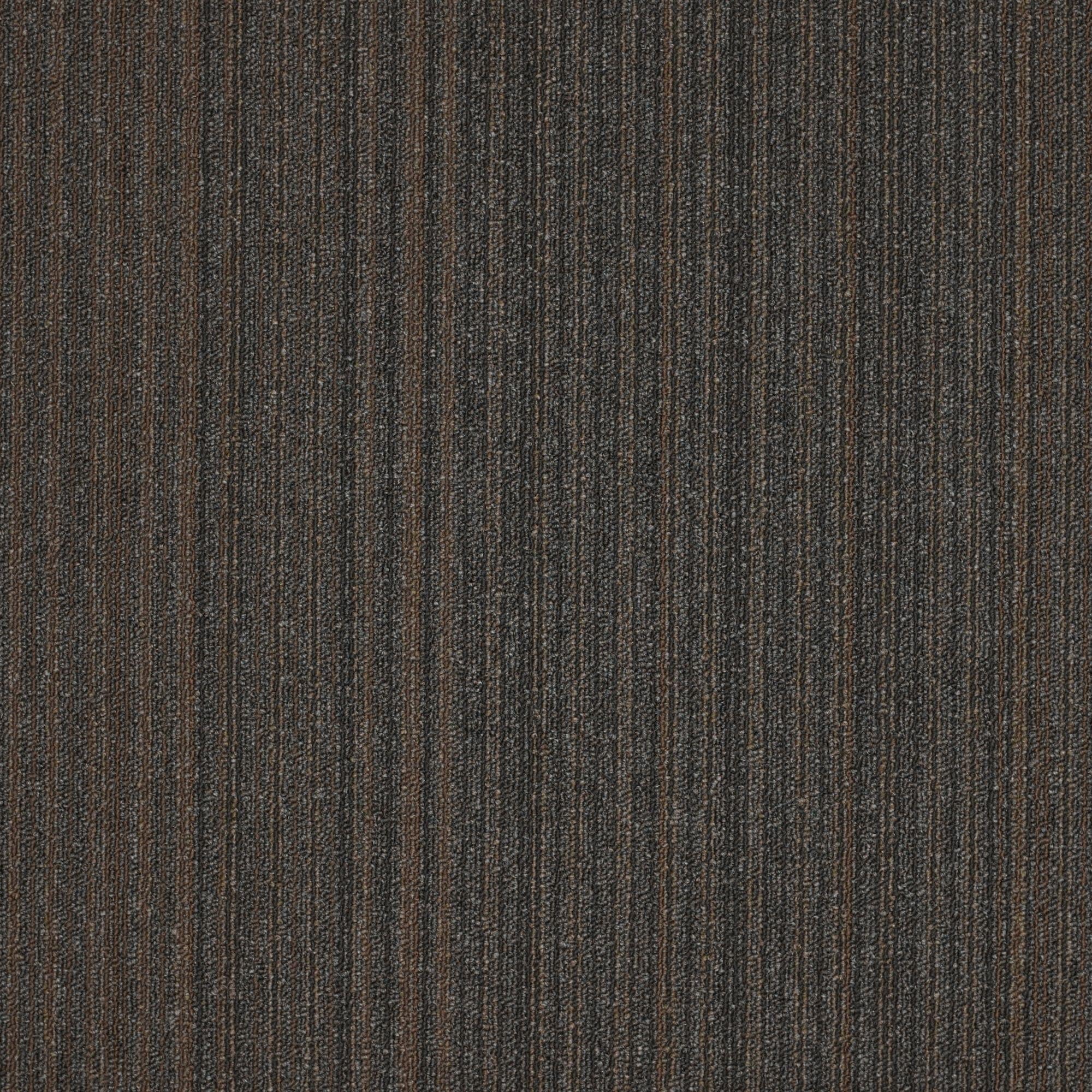 Shaw Philadelphia Commercial Lucky Break 24" x 24" Glue Down Carpet