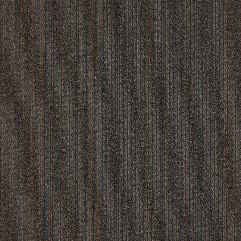 Shaw Philadelphia Commercial Lucky Break 24" x 24" Glue Down Carpet - Luck Of The Draw