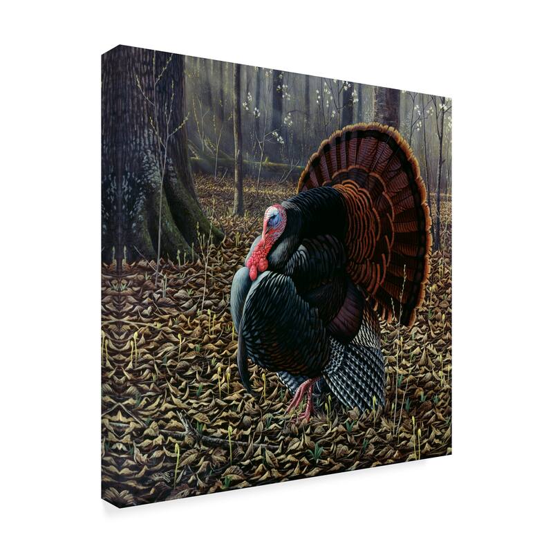 Wilhelm Goebel 'The King Of Spring Wild Turkey' Canvas Art