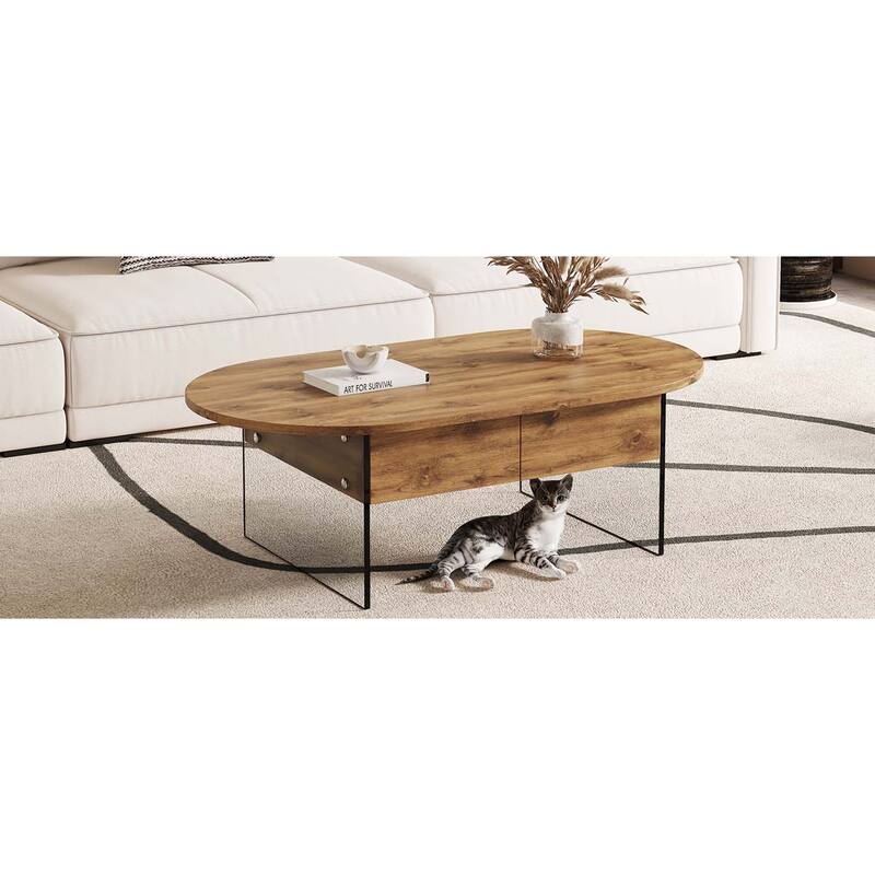 43.3"x23.6"Oval Double Drawer Coffee Table