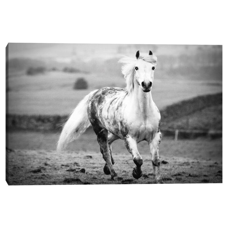 Muddy Days by Esther Marie Canvas Art Print