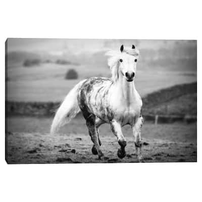 Muddy Days by Esther Marie Canvas Art Print