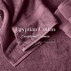 preview thumbnail 138 of 197, Superior Egyptian Cotton 6 Piece Towel Set Ultra Plush & Absorbent Bath, Hand & Face Towels, Heavyweight Spa Quality