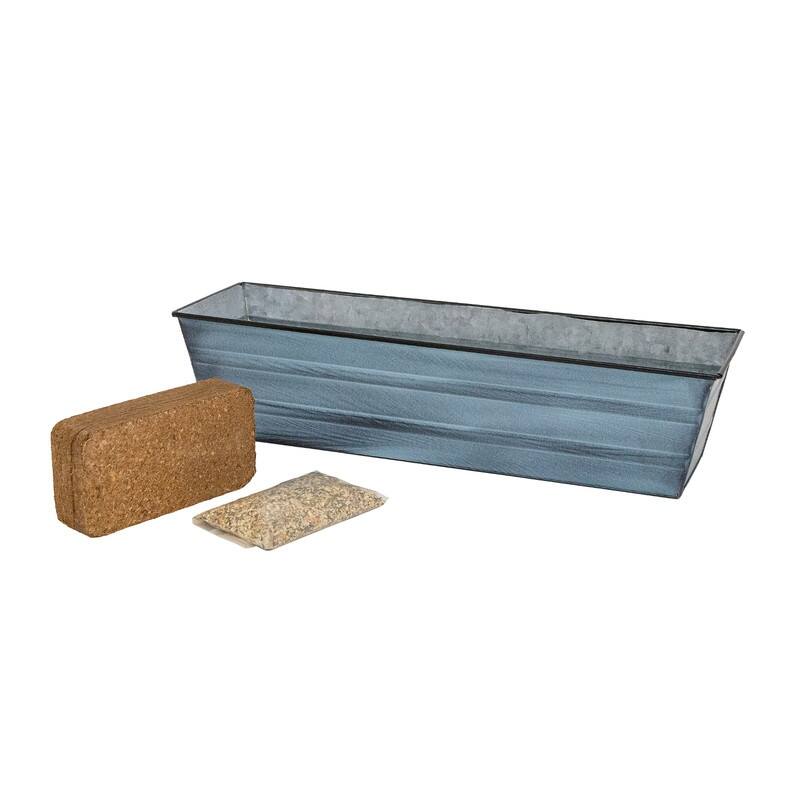 Achla Designs 22" W Galvanized Steel Bloom Box Garden Growing Kit - Blue