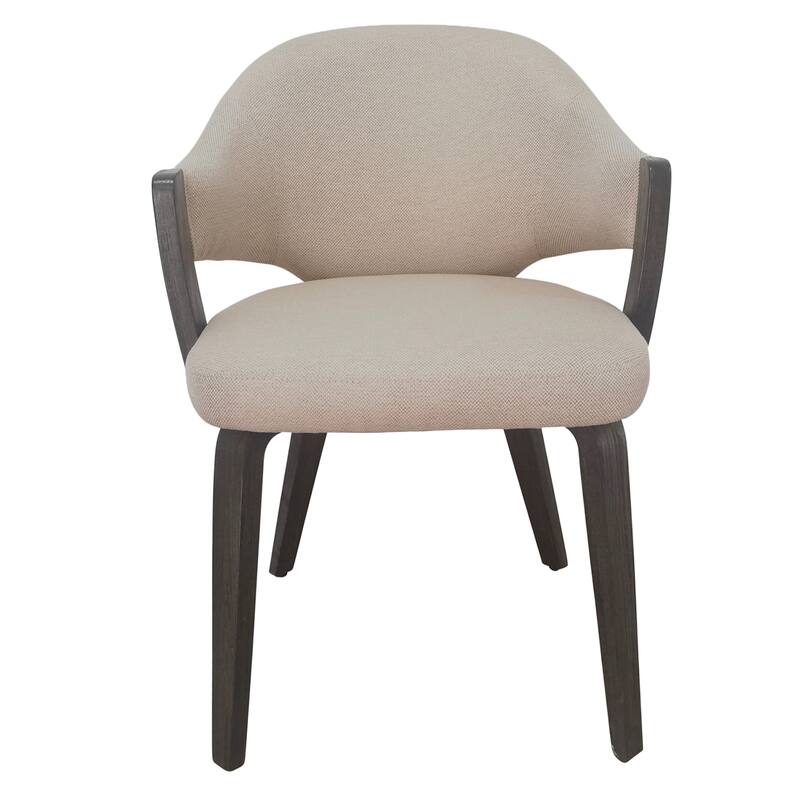 Modern Fabric and Bentwood Dining Chair, Set of 2