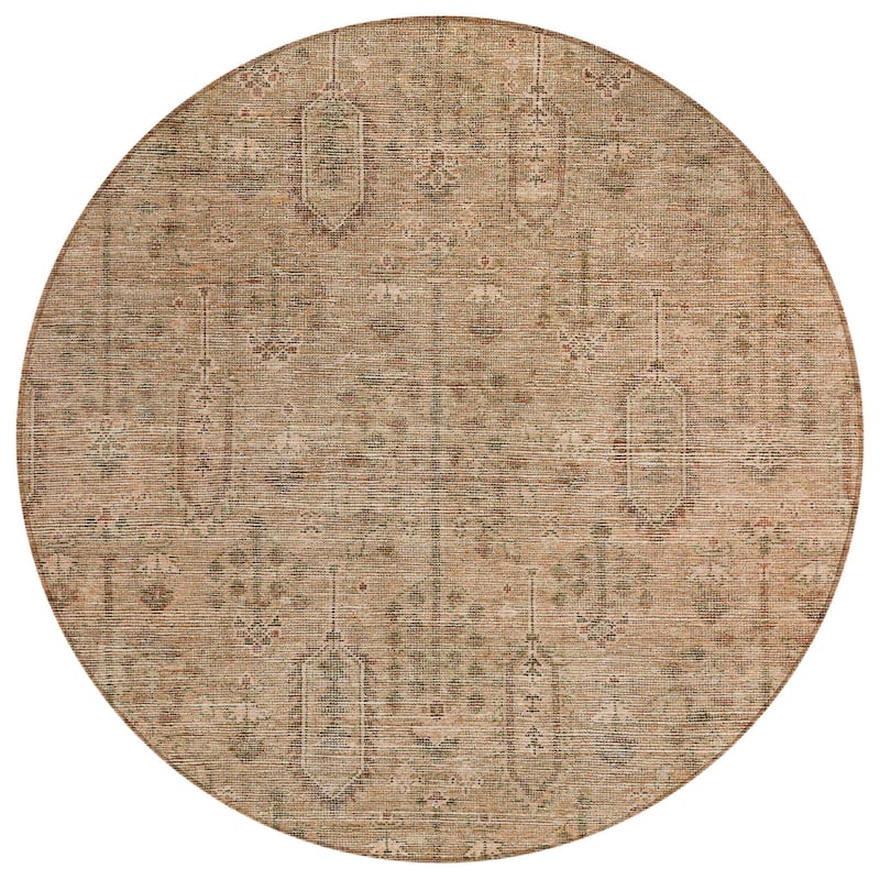 HomeRoots Southwestern Transitional Rectangle Outdoor Rug