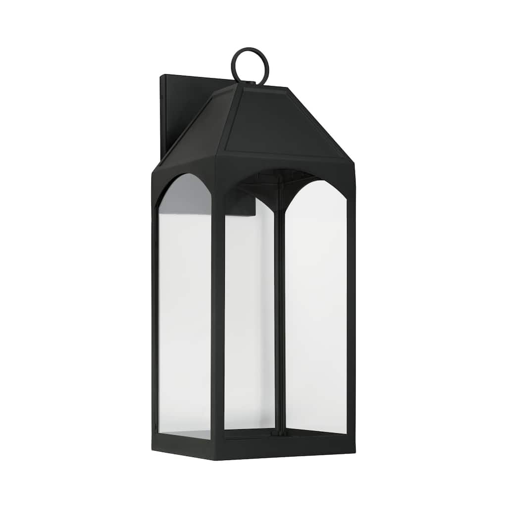 Burton Outdoor 1-light Black Large LED Wall Lantern w/ Clear Glass