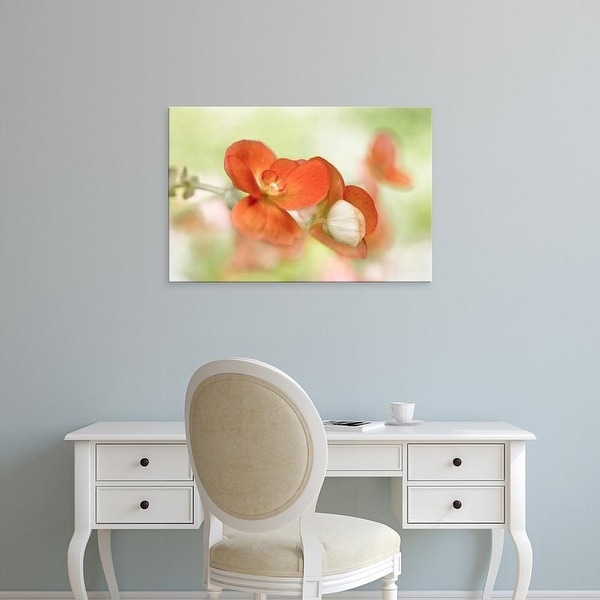 Easy Art Prints Mandy Disher's 'Summer Glow' Premium Canvas Art