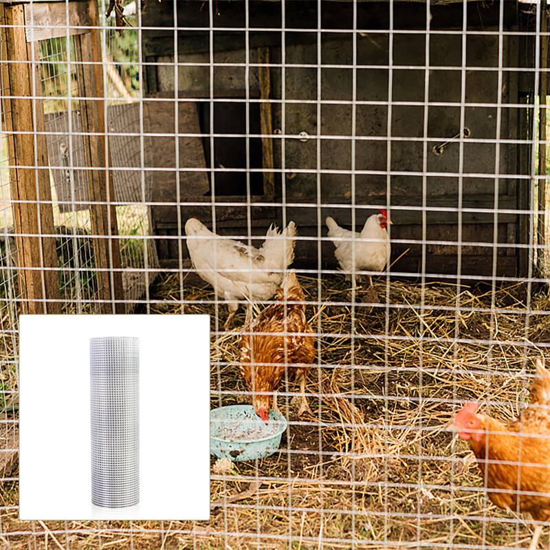 Hot-dip Galvanized After Welding Chicken Wire Fence Roll - Silver