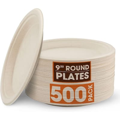 Cheer Collection 9 inch Disposable Plastic Plates - 500 Pack