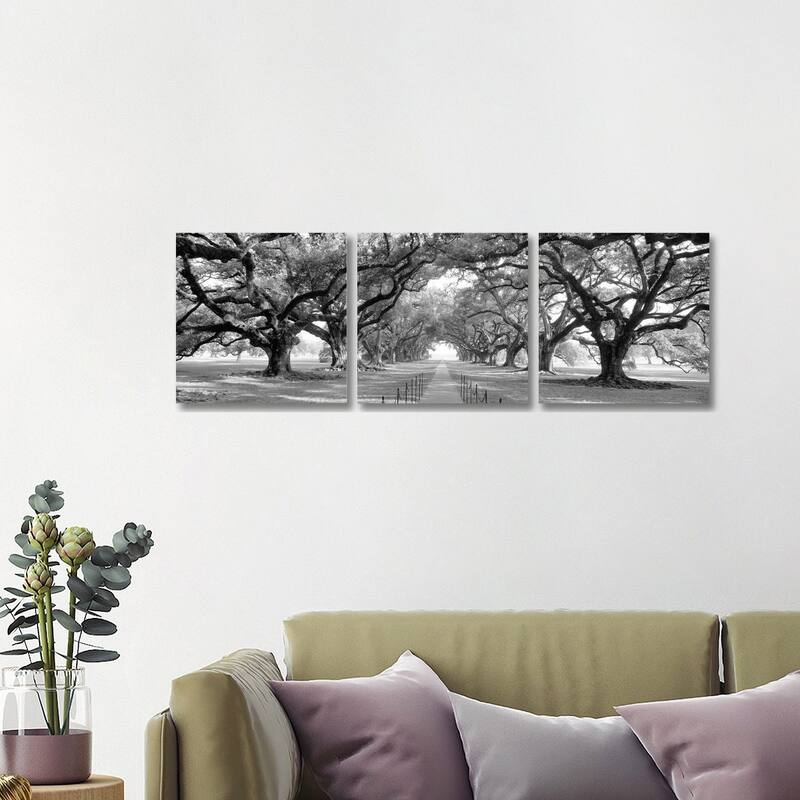 iCanvas "Brick Path Through Alley Of Oak Trees, New Orleans (B&W) II" by Panoramic Images 3-Piece Canvas Wall Art Set - 16x48x1.5