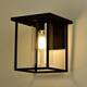 1-light Matte Black Outdoor Wall Sconce Lantern with Clear Glass Shade