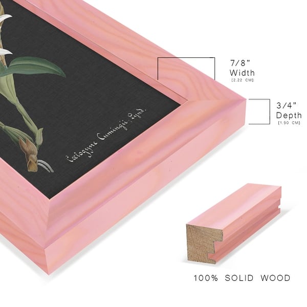 dimension image slide 2 of 11, Orchid on Slate III -Framed Print w/glass-Cherry Red