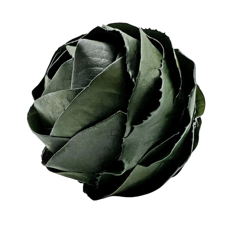 4 Preserved Leaves Decorative Orbs Bowl Filler – Green - Set of 4