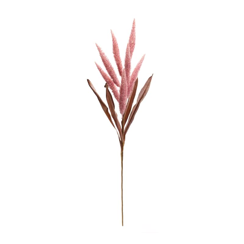 Foxtail Plume Stem (Set of 2)