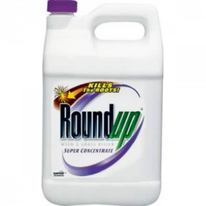 Shop Black Friday Deals On Roundup 5004215 Super Concentrate Weed Grass Killer 1 Gallon Overstock 25487911