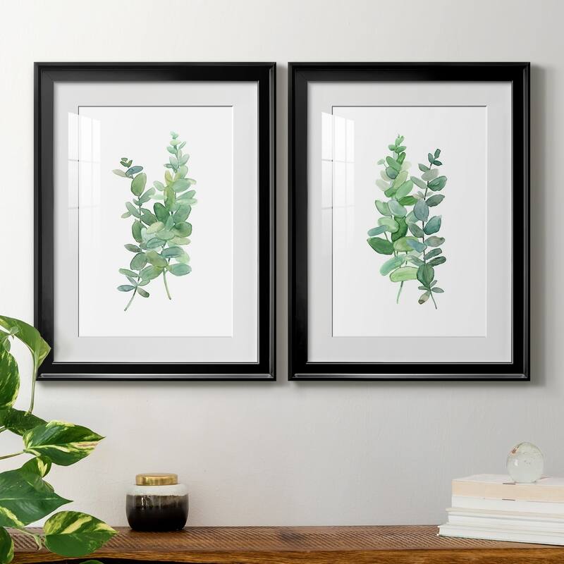 Eucalyptus I Premium Framed Print - Ready to Hang