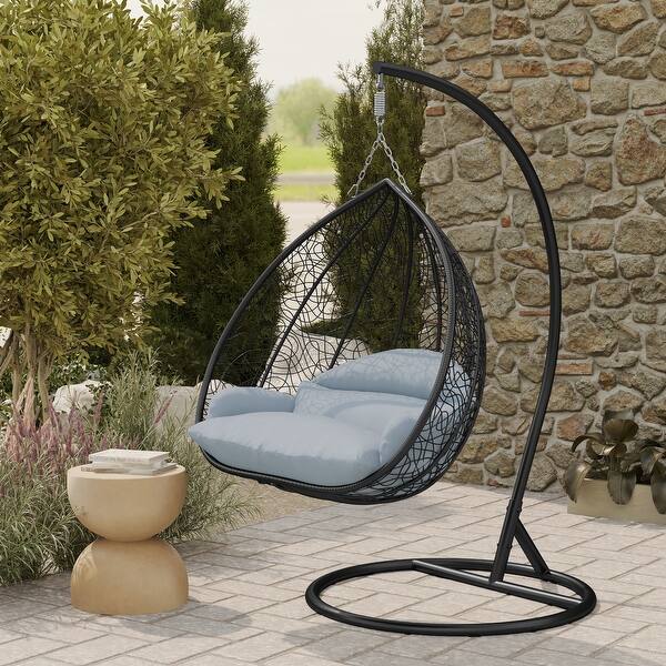 2-Person Egg Swing Chair in Black Stainless Steel 2-Seater Porch
