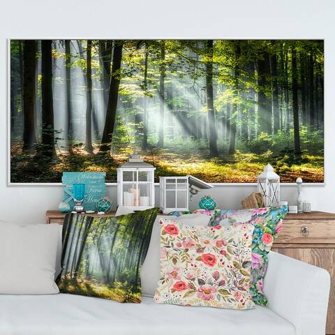 Designart "Sunny Morning Magic Forest III" Landscapes Framed Canvas Wall Art