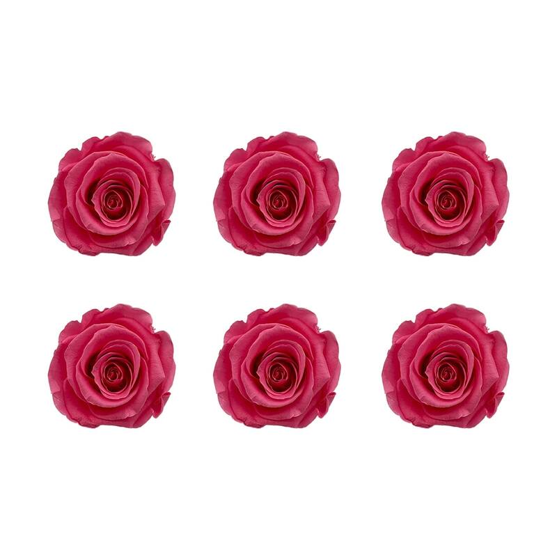 Large Colorful Preserved Roses - Set of 6 - Baby Pink