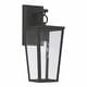 preview thumbnail 1 of 13, Elliot Black Outdoor Wall Lantern w/ Clear Glass 1-light/15.5"H x 6.25"W
