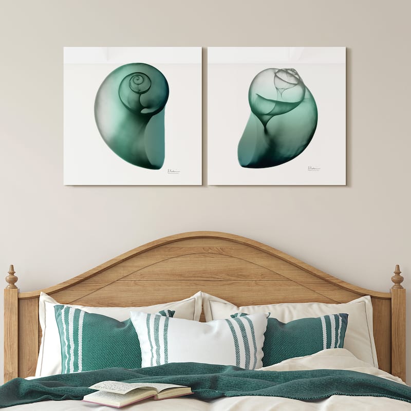 "Shimmering Snail I & II" Frameless Free Floating Tempered Glass Panel Graphic Wall Art - White