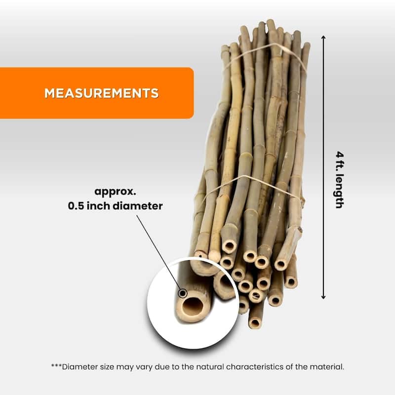 Bamboo Stakes For Gardening Plant Support for Garden Natural (25-Pack) - Medium