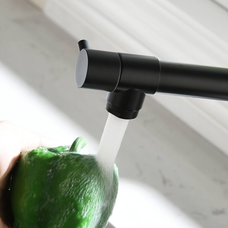 Pull Down Kitchen Faucet with Sprayer Matte Black Kitchen Sink Faucets
