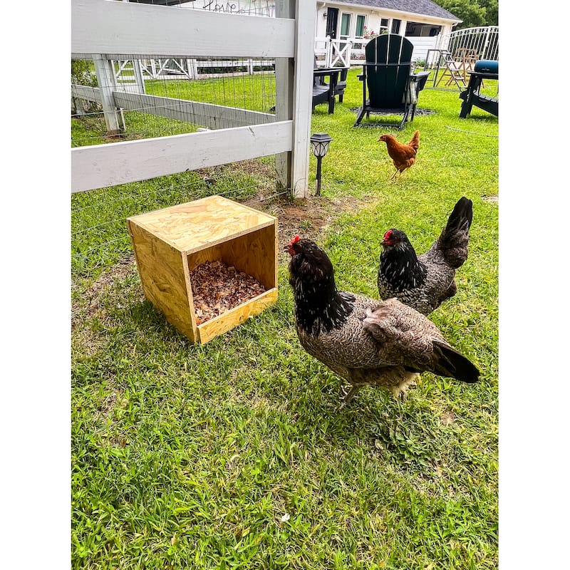 Zylina Best Rest Single Nesting Box - N/A - 12x13x13
