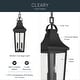 preview thumbnail 3 of 12, Cleary 2-Light Outdoor Pendant with Clear Glass - 24.75