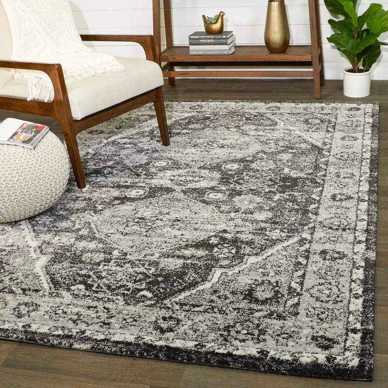Dion Vintage Medallion Area Rug