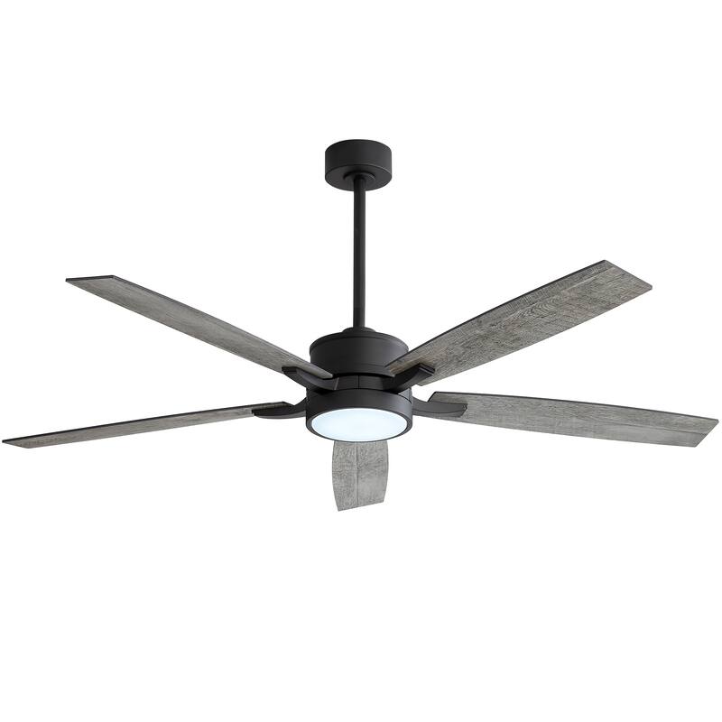 65 Inch Black LED Ceiling Fan with Light and Remote(5-Blade)