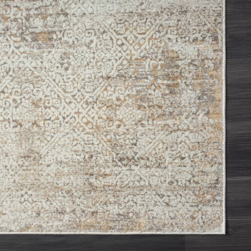 Bailey Transitional Distressed Beige/Brown Performance Indoor Area Rug by Sevita