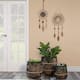 Option Set of 3 Black