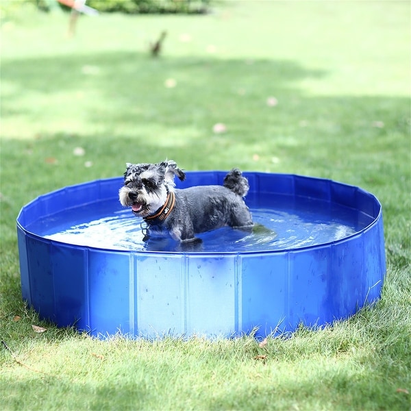 Dog pool sales with slide