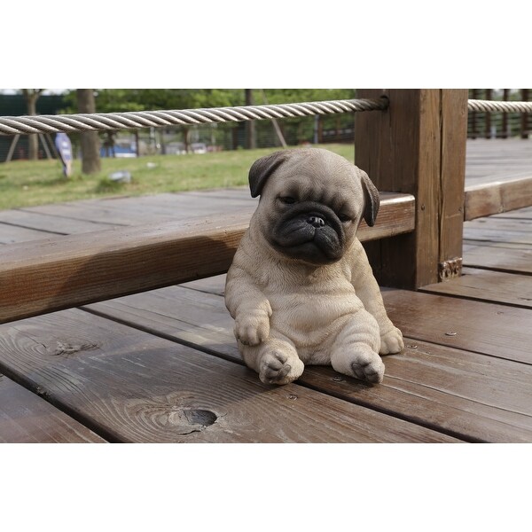 Pug hot sale puppy supplies